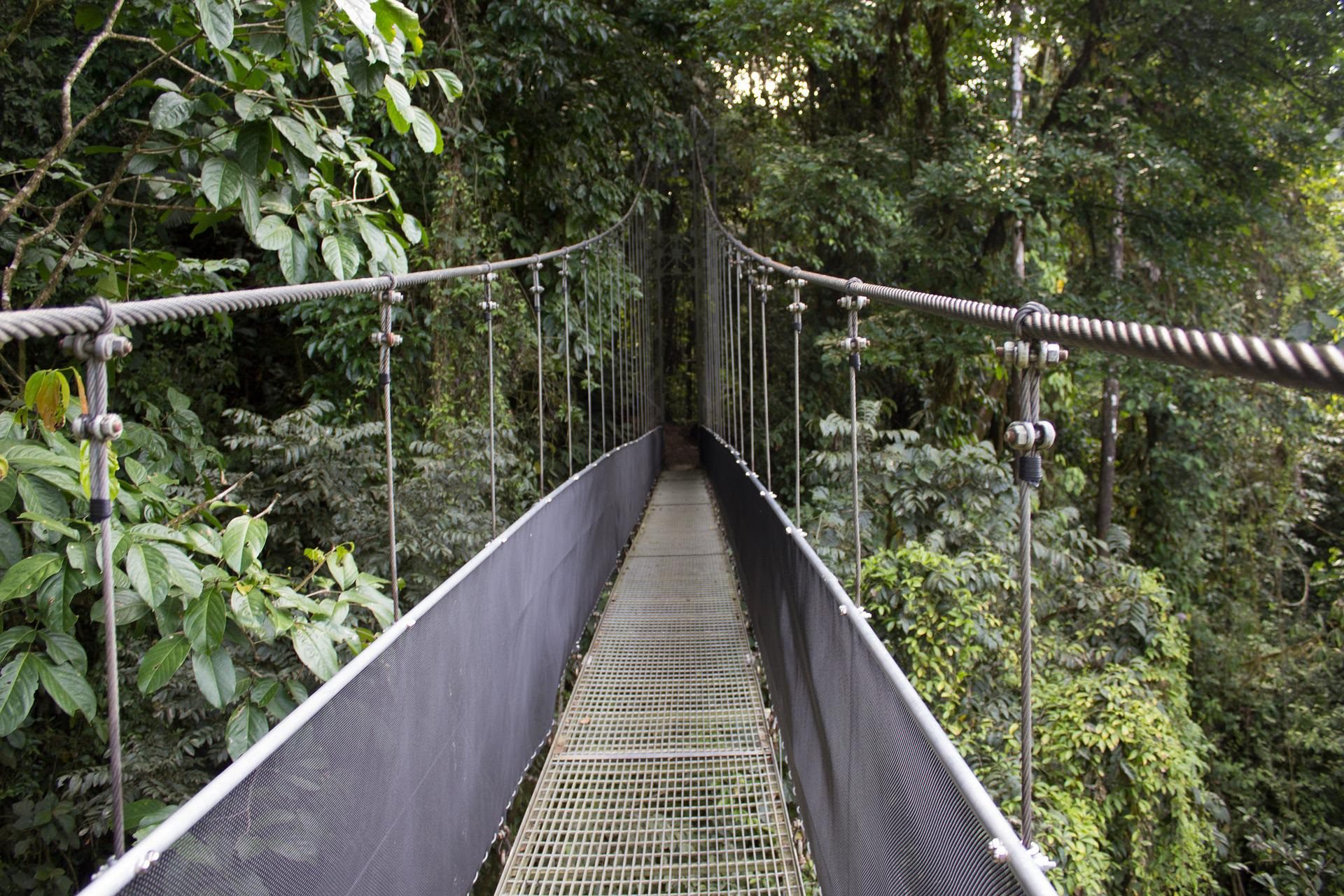 costa rica aventura para niños