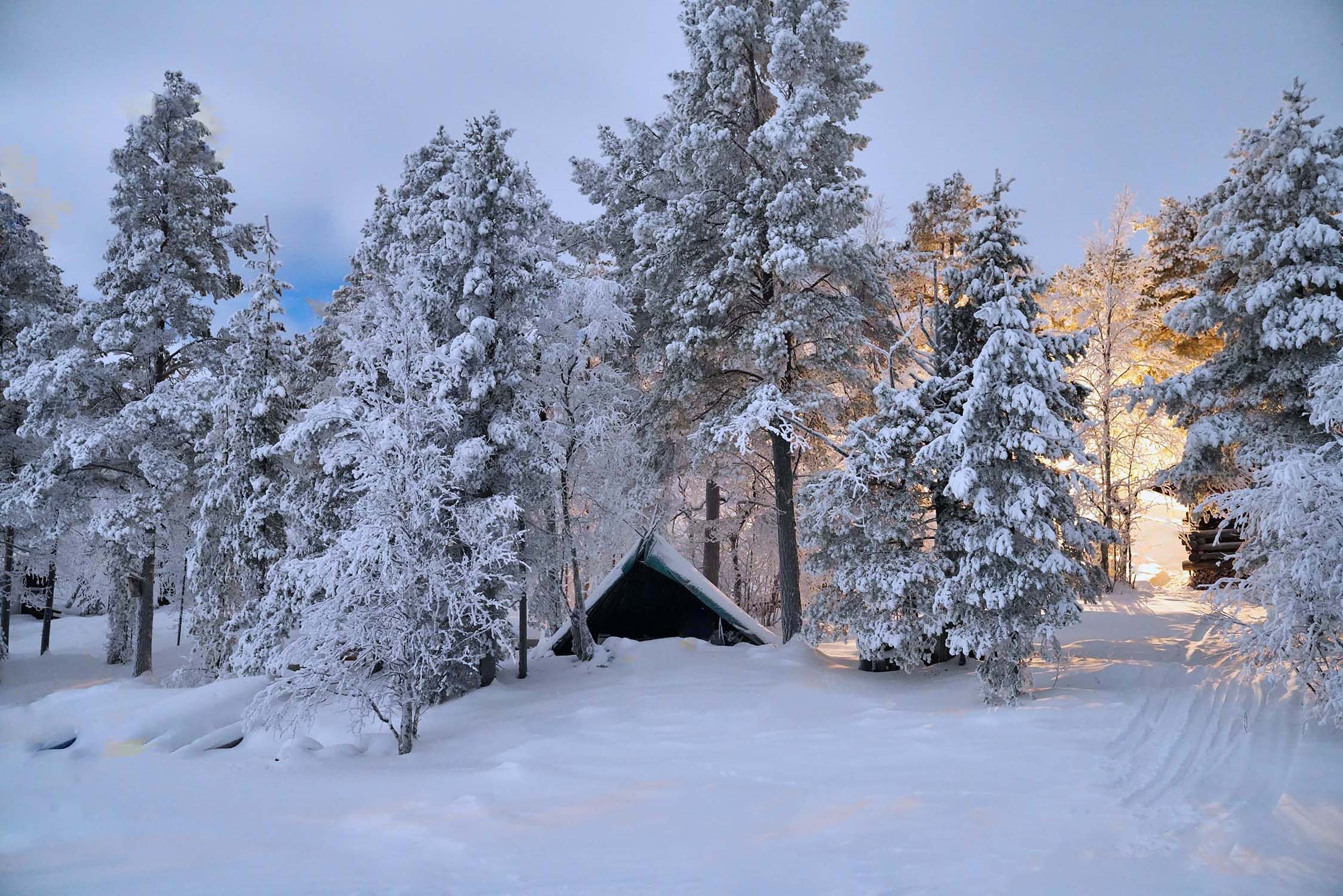 foto de laponia 2024 salla