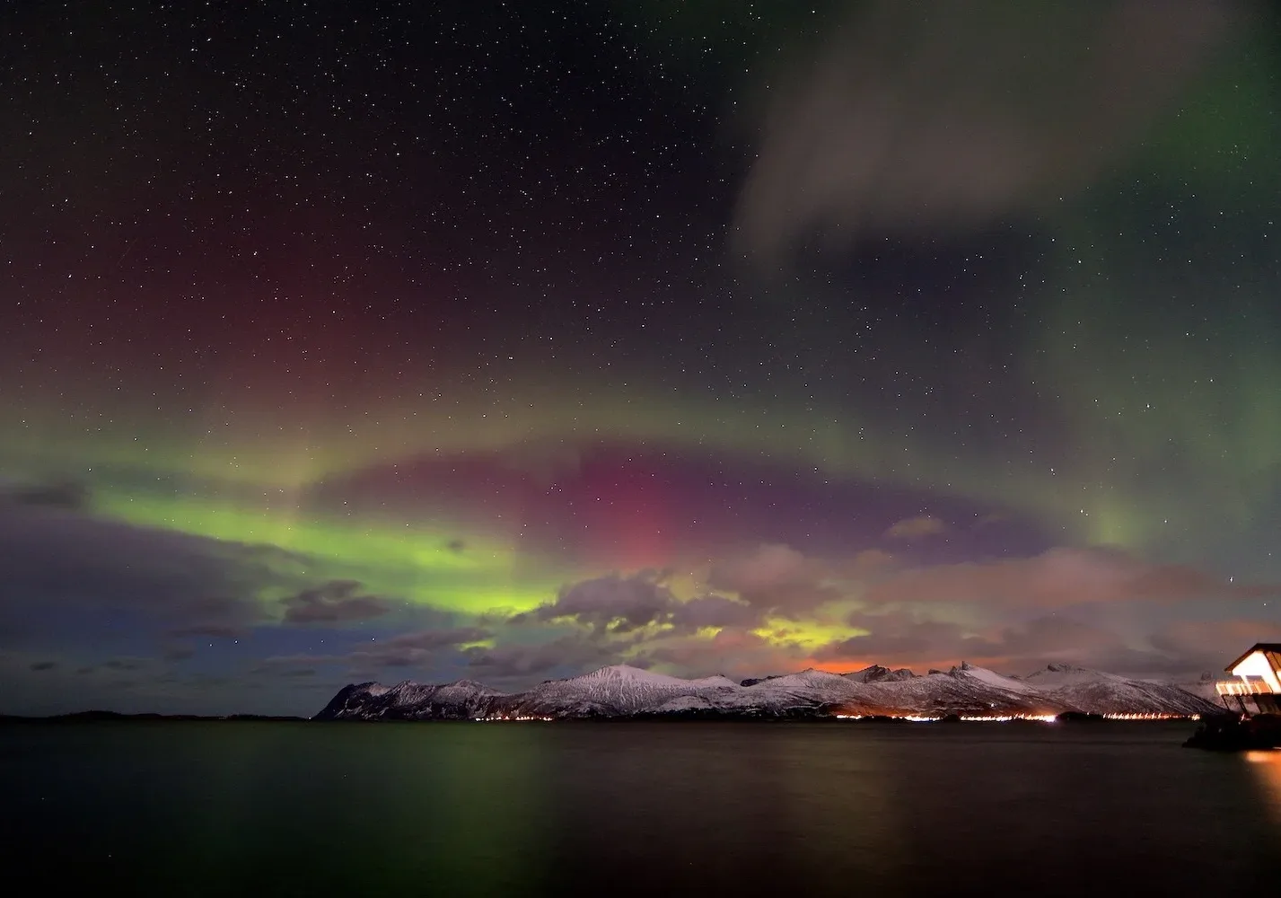 Viaje con ballenas y auroras boreales en Tromso, Noruega